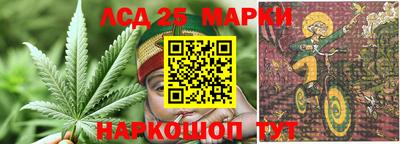 ПСИЛОЦИБИНОВЫЕ ГРИБЫ Краснознаменск