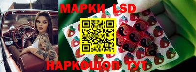 ПСИЛОЦИБИНОВЫЕ ГРИБЫ Краснознаменск